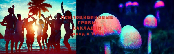 PSILOCYBIN Алексин