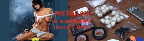 индика Алзамай