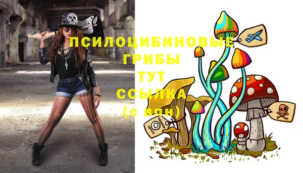 PSILOCYBIN Алексин