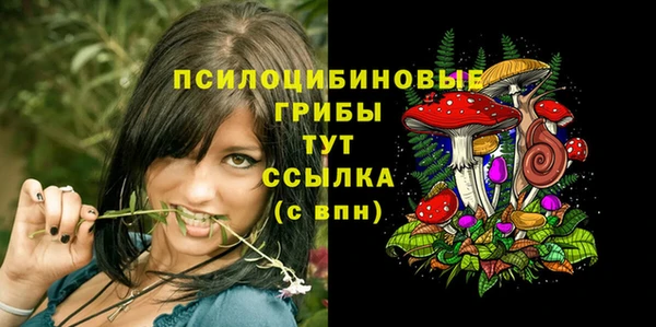 PSILOCYBIN Алексин