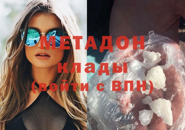 индика Алзамай