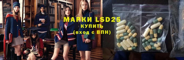 индика Алзамай