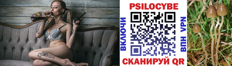 Купить закладки  Великий Устюг  Галлюциногенные грибы Magic Shrooms 