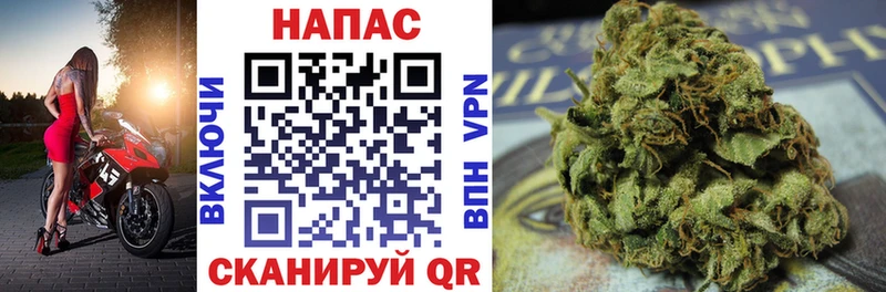 Купить где  Великий Устюг  МАРИХУАНА Ganja 
